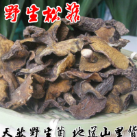 廠(chǎng)家直銷(xiāo) 新貨散稱(chēng)【九瑋野生松菇1斤】野生松菇蛾子蘑菇燉