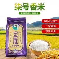 柒號香米10kg 廠(chǎng)家供應金雁大米食品米飯自然清香軟糯香米