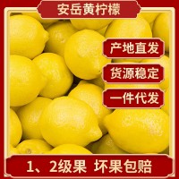 四川安岳檸檬鮮果批發(fā)當季12級新鮮水果產(chǎn)地直發(fā)尤力克黃檸檬代發(fā)