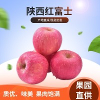 陜西寶雞紅富士蘋(píng)果包郵帶箱5斤/10斤新鮮現摘水果脆甜應季批發(fā)