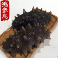 大連海參長(cháng)?？h深海即食海參遼參500g一件代發(fā)口感好工廠(chǎng)加工批發(fā)