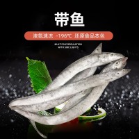 舟山東海雷達網(wǎng)小眼帶魚(yú) 大帶4兩-1斤套袋帶魚(yú) 批發(fā)海捕新鮮帶魚(yú)