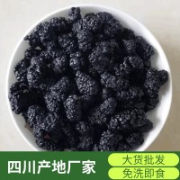 22年新貨P桑葚干食用四川產(chǎn)地免洗無(wú)沙桑葚子黑桑椹干茶散裝批發(fā)