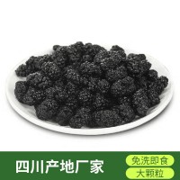 22年新貨桑葚干食用桑果限量四川產(chǎn)地免洗無(wú)沙黑桑椹干果子茶散裝