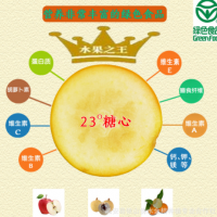 廣西特產(chǎn)融安金桔中國地理標志產(chǎn)品新鮮水果現摘特級脆蜜金柑包郵