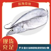 帶魚(yú) 海鮮 規格齊全 釣帶網(wǎng)帶 板凍條凍 新鮮現貨 可加工帶魚(yú)