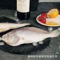 新鮮黃魚(yú)/緬甸米黃魚(yú)/深海魚(yú)/冰凍黃魚(yú)/冰鮮黃花魚(yú)