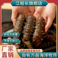 江船長(cháng)鎖鮮高壓冷凍海參500g8粒裝深海刺參方便烹飪批發(fā)廠(chǎng)家直銷(xiāo)  20盒起批