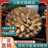 江船長有機(jī)鎖鮮冷凍鮑魚肉83粒裝500g廠家直銷可出美國日本歐盟等  1箱起批