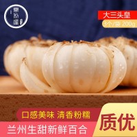 蘭州新鮮百合可食用甜百合初級農產(chǎn)品真空包裝甘肅土特產(chǎn)鮮百合