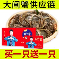 陽(yáng)澄湖鎮大閘蟹禮券中秋禮品大閘蟹團購批發(fā)螃蟹量大價(jià)優(yōu)招代理