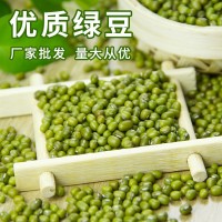 綠豆農家五谷雜糧發(fā)豆芽綠豆散裝解暑綠豆湯綠豆種子熬煮豆類(lèi) 批發(fā)