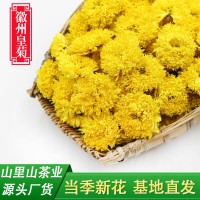 當季新花廠(chǎng)家直銷(xiāo)徽州皇菊批發(fā)散裝菊花茶婺源皇菊球菊休寧黃菊花