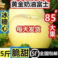 煙臺黃金奶油富士蘋(píng)果糖心當季整箱山東棲霞白蘋(píng)果禮品盒   3盒起批