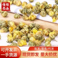 桐鄉胎菊王 黃金菊干花 無(wú)硫蘇杭州白菊花草茶野菊花散裝現貨批發(fā)