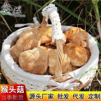 猴頭菇大貨批發(fā) 福建古田農家干貨美味煲湯猴頭菇散裝批發(fā)500g  2件起批