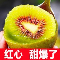 新鮮水果現采現發(fā) 四川蒲江紅心獼猴桃50-130克一件代發(fā) 整箱批發(fā)