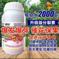 1000毫升多肉植物細胞分裂素催芽劑促花促生長(cháng)?；ū９~面肥正品