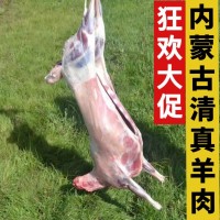 偉和祥內蒙古清真羔羊肉帶皮羊排羊后腿新鮮冷凍生羊前腿羊肉塊