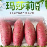 日本瑪莎莉紅薯高端品種紅皮黃肉現挖現賣(mài)老少皆宜