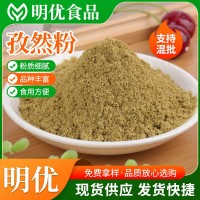 孜然粉 火鍋底料辣椒醬大魷魚(yú)雞排裹粉 燒烤粉調味料香辛孜然粉