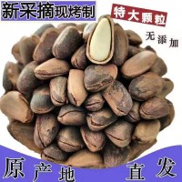 新貨東北開(kāi)口松子大顆粒袋裝500g新炒松子堅果零食特產(chǎn)批發(fā)松子