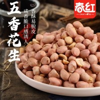 【老鄉專(zhuān)屬】五香花生米烘烤制作咸香酥脆可口沈陽(yáng)春紅食品廠(chǎng)家