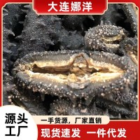 大連淡干海參50g水產(chǎn)海參干貨批發(fā)食用廠(chǎng)家一手野生遼參禮盒裝