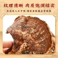 長(cháng)白山靈芝片批發(fā)中藥材靈芝片規格齊全 長(cháng)白山靈芝片現貨批發(fā)