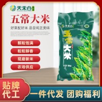 熱銷(xiāo)五常大米10斤裝長(cháng)粒米有機種植自產(chǎn)稻花香2號東北大米5kg批發(fā)