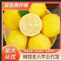 安岳黃檸檬新鮮水果批發(fā)一二級精品檸檬多規格產(chǎn)地直發(fā)